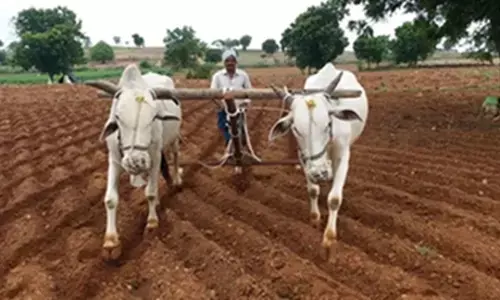 ఆనాటి ఎద్దుల గంటల సవ్వడి ఏమాయెనో.?