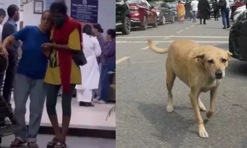 వీధి కుక్కలకు ఆహారం పెట్టిందని దాడి చేసిన కాలనీవాసులు.. వీడియో వైరల్