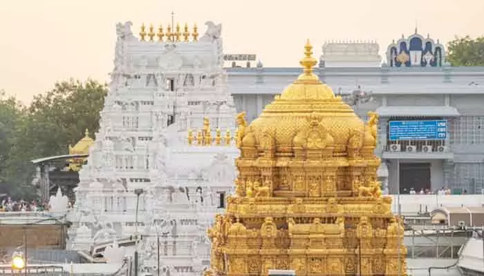 శ్రీవారి భక్తులకు తీపికబురు.. ప్రత్యేక ప్రవేశ దర్శన టికెట్లు విడుదల శ్రీవారి భక్తులకు తీపికబురు.. ప్రత్యేక ప్రవేశ దర్శన టికెట్లు విడుదల