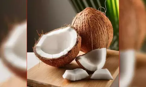 ఏంటీ అరాచకం.. ఒక్క కొబ్బరికాయ రూ.5 లక్షలా?.. ఎంత పండగైతే మాత్రం!