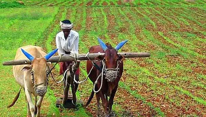 రైతులకు గుడ్ న్యూస్.. సకాలంలో రుణాలు, ఇన్పుట్ సబ్సిడీలు..! రైతులకు గుడ్ న్యూస్.. సకాలంలో రుణాలు, ఇన్పుట్ సబ్సిడీలు..!