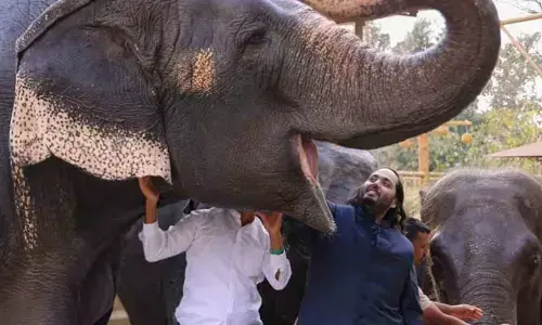 అంబానీ ‘వంతారా’పై సుప్రీంకోర్టు విచారణకు ఆదేశం