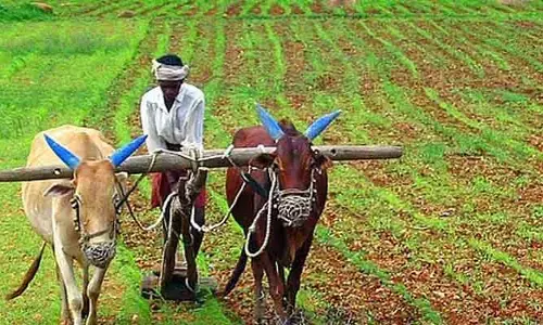 రైతులకు గుడ్ న్యూస్.. సకాలంలో రుణాలు, ఇన్పుట్ సబ్సిడీలు..!
