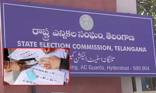 Election Commission: ఓటర్ల తుది జాబితాపై అధికారులకు రాష్ట్ర ఎన్నికల కమిషన్ కీలక ఆదేశాలు