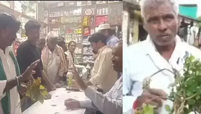 కొంపముంచిన పురుగుల మందు...ఎండిపోయిన 4 ఎకరాల పత్తి ! కొంపముంచిన పురుగుల మందు...ఎండిపోయిన 4 ఎకరాల పత్తి !