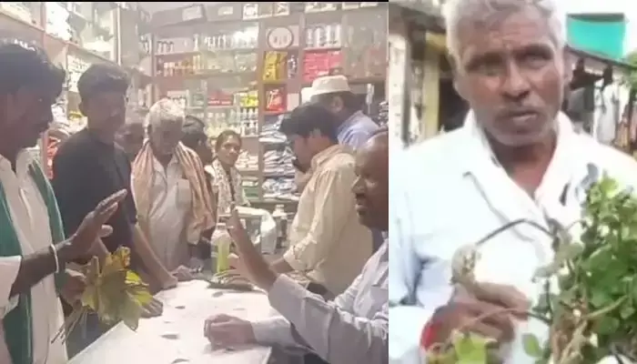 కొంపముంచిన పురుగుల మందు...ఎండిపోయిన 4 ఎకరాల పత్తి  !