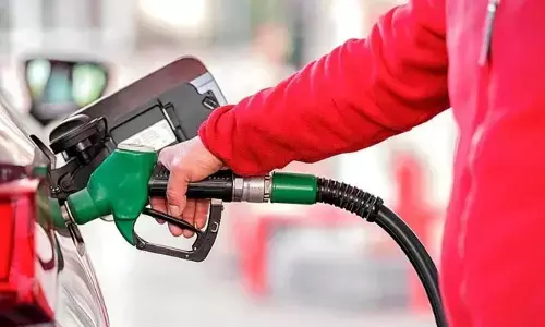 E20: ఈ20 పెట్రోల్‌కు గ్రీన్ సిగ్నల్.. ఆ పిటిషన్‌ను కొట్టేసిన సుప్రీంకోర్టు
