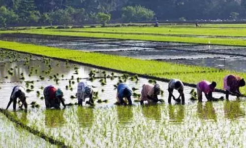 సాగు ఎంత పెరిగినా.. రైతు జీవితం బాగుపడదా?