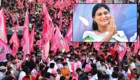 బీఆర్ఎస్కు షర్మిల పాపం బీఆర్ఎస్కు షర్మిల పాపం