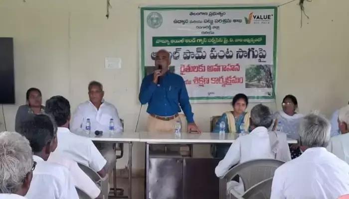 ఆయిల్‌ పామ్‌ సాగుతో రైతులకు అధిక లాభాలు