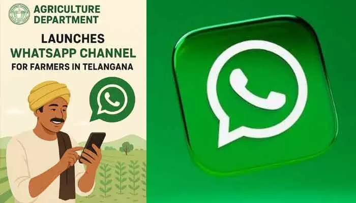 రైతులకు అగ్రికల్చర్శాఖ వాట్సాప్ ఛానల్ ప్రారంభం రైతులకు అగ్రికల్చర్శాఖ వాట్సాప్ ఛానల్ ప్రారంభం