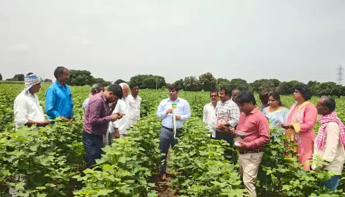లింగాకర్షక బుట్టలతో చీడపీడల నివార‌ణ