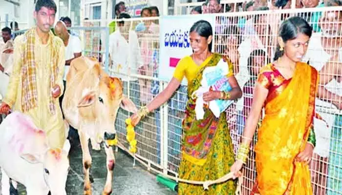 కోడెల పంపిణీ కోసం ఆన్ లైన్ లో దరఖాస్తులు కోడెల పంపిణీ కోసం ఆన్ లైన్ లో దరఖాస్తులు