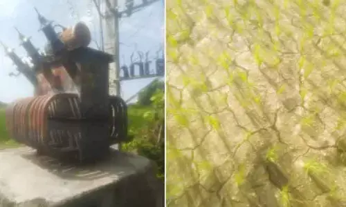 కాలిన ట్రాన్స్ ఫార్మర్.. ఆందోళనలో అన్నదాతలు