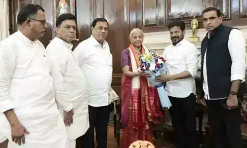 నిర్మలా సీతారామన్‌తో CM రేవంత్ భేటీ.. ఆ రెండు అంశాలపై కీలక అభ్యర్థనలు