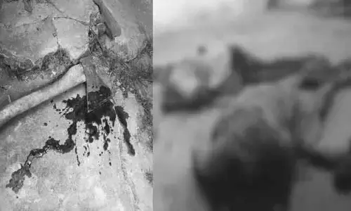 ప్రియుడితో ఇంట్లో దొరికిన భార్య.. ఇద్దరి తలలు నరికేసిన భర్త