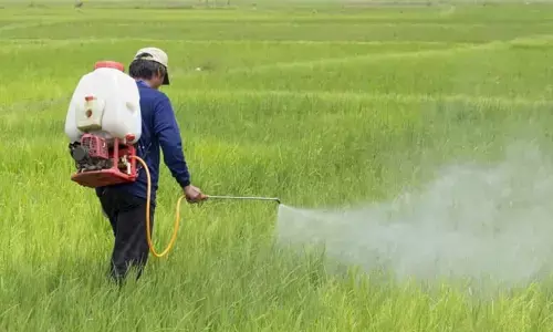 Nano urea plus: రైతులకు వరంగా నానో యూరియా ప్లస్... ఉపయోగాలు ఇవే!