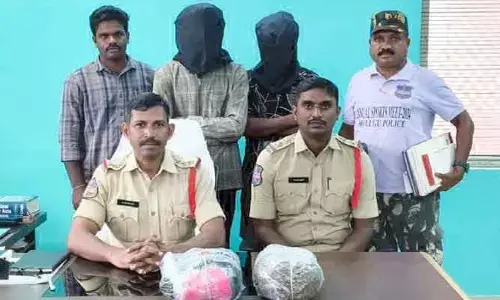 గంజాయి పట్టివేత