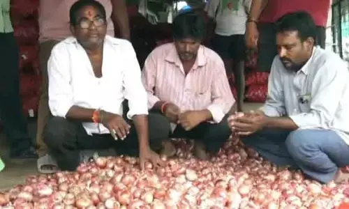 పూర్తిగా పతనం...   రూ.5కే కిలో ఉల్లిపాయలు