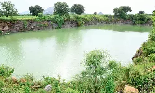 తురకపాలెం గ్రామస్తుల అనారోగ్యానికి కారణం యురేనియమా? అధ్యయనంలో తేలిందేంటి?