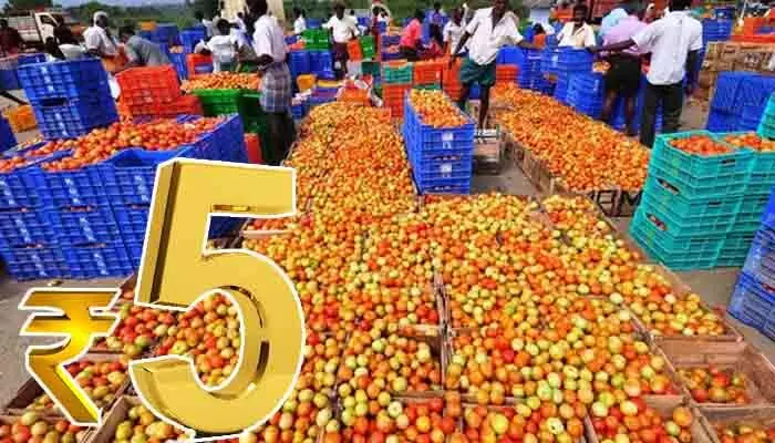 టమాటా ధర భారీగా పతనం.. మదనపల్లి మార్కెట్లో కిలో రూ.5 టమాటా ధర భారీగా పతనం.. మదనపల్లి మార్కెట్లో కిలో రూ.5