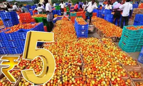 టమాటా ధర భారీగా పతనం.. మదనపల్లి మార్కెట్‌లో కిలో రూ.5