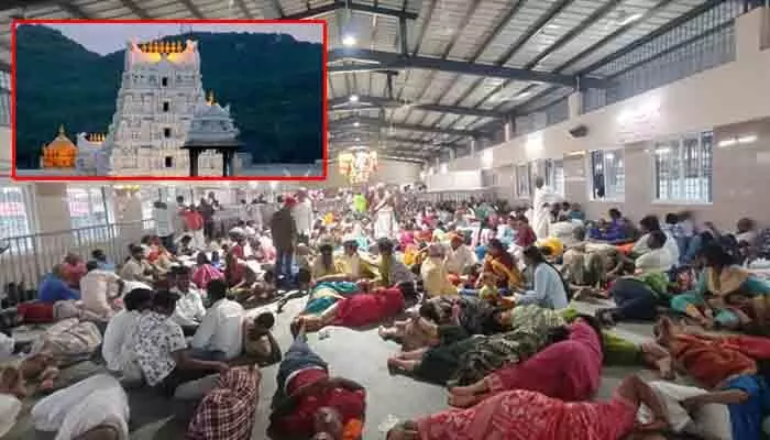 తిరుమలలో తగ్గని భక్తుల రద్దీ.. 31 కంపార్టుమెంట్లు ఫుల్ తిరుమలలో తగ్గని భక్తుల రద్దీ.. 31 కంపార్టుమెంట్లు ఫుల్
