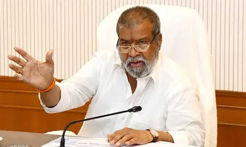 సీజనల్ కేసులు నమోదు రహిత రాష్ట్రంగా నిలవాలి.. అధికారులకు ఆరోగ్య మంత్రి ఆదేశాలు
