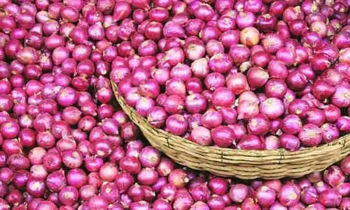 ఉల్లి రైతులకు భారీ గుడ్ న్యూస్. రూ. 50 వేలు ఇవ్వాలని ప్రభుత్వం నిర్ణయం