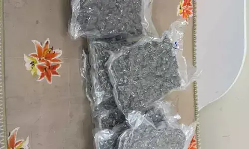 రూ.12 కోట్ల విలువైన హైడ్రో ఫోనిక్ పదార్థం సీజ్