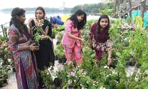 ఆకట్టుకుంటున్న హార్టీకల్చర్​ షో