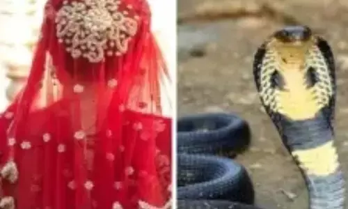 ఐదు లక్షల అదనపు కట్నం డిమాండ్.. కోడలును గదిలో బంధించి.. పామును వదిలిన అత్తామామలు, భర్త