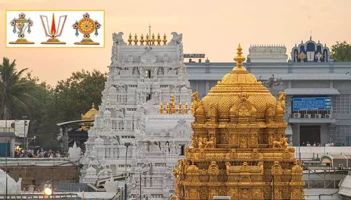శ్రీవారి భక్తులకు తీపికబురు.. కేవలం ఐదు గంటల్లోనే దర్శనం శ్రీవారి భక్తులకు తీపికబురు.. కేవలం ఐదు గంటల్లోనే దర్శనం