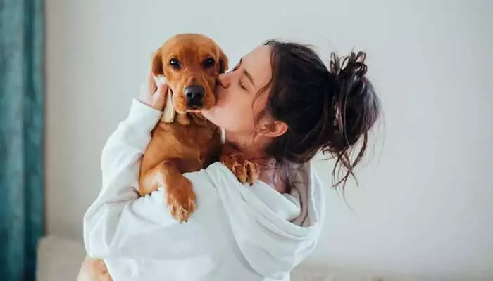 Health : కుక్కలను ముద్దు పెట్టుకుంటున్నారా?.. ఈ వ్యాధులు వస్తాయ్ జాగ్రత్త! Health : కుక్కలను ముద్దు పెట్టుకుంటున్నారా?.. ఈ వ్యాధులు వస్తాయ్ జాగ్రత్త!