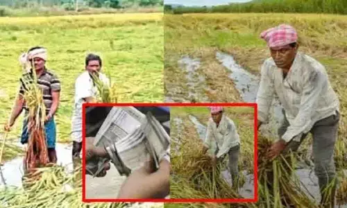 భారీ వర్షాలతో దెబ్బతిన్న పంటలు.. రూ. 1339 కోట్ల సహాయం ప్రకటించిన ప్రభుత్వం