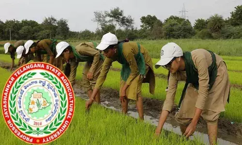 Agriculture University: అగ్రికల్చర్​ యూనివర్శిటీలో యూజీ కోర్సులకు కౌన్సిలింగ్