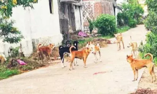 AP | ఇక ఉండదు భౌభౌల భయం