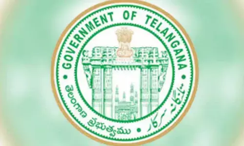 మున్సిపాలిటీల అభివృద్ధికి ప్రత్యేక కార్యాచరణ