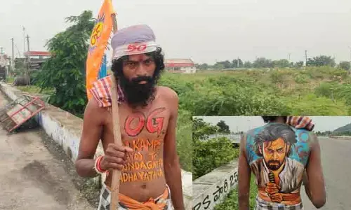 ఓజీ క్యాజీ..