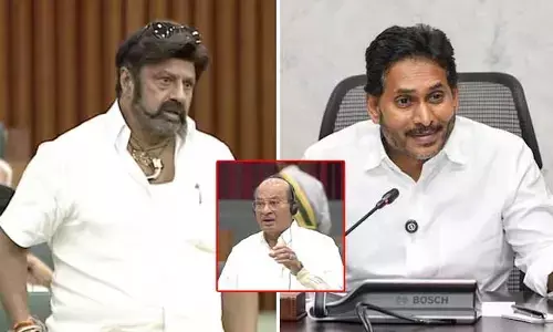 నందమూరి బాలకృష్ణ వ్యాఖ్యలపై గోరంట్ల బుచ్చయ్య చౌదరి వివరణ