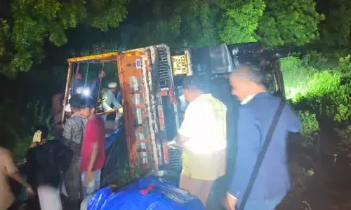పెళ్లికి వెళ్లి తిరిగి వస్తుండగా బోల్తా పడిన డీసీఎం...పలువురికి గాయాలు