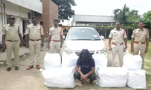 205 కిలోల గంజాయి పట్టివేత