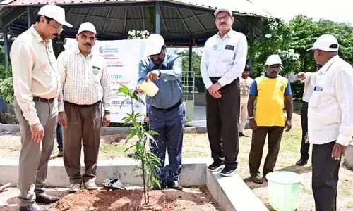 మొక్కలను నాటండి ..భూమాతను రక్షించండి