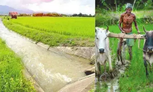 రాష్ట్రంలో మళ్లీ సాగునీటి సంఘాలు
