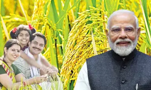 అన్నదాతలకు మరో తీపికబురు.. MSP ధరల పెంపునకు కేంద్ర కేబినెట్ ఆమోదం