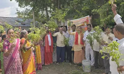 బెజ్జూర్ రంగనాయక ఆలయంలో తులసి వన మహోత్సవం