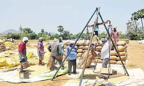 జిల్లాలో 650 కొనుగోలు కేంద్రాల ఏర్పాటు