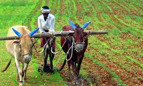 Good News: పండగ పూట రైతులకు మరో శుభవార్త