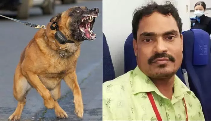 ఏపీలో రేబిస్ లక్షణాలతో వ్యక్తి మృతి.. మూడు వ్యాక్సిన్లు వేయించుకున్నా దక్కని ప్రాణం ఏపీలో రేబిస్ లక్షణాలతో వ్యక్తి మృతి.. మూడు వ్యాక్సిన్లు వేయించుకున్నా దక్కని ప్రాణం