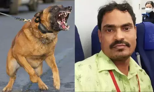 ఏపీలో రేబిస్ లక్షణాలతో వ్యక్తి మృతి.. మూడు వ్యాక్సిన్లు వేయించుకున్నా దక్కని ప్రాణం